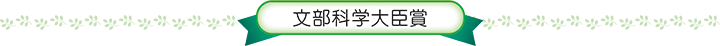 文部科学大臣賞