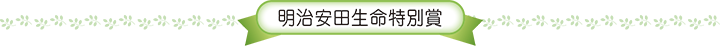 明治安田生命特別賞