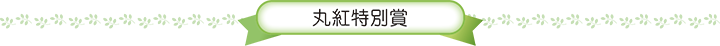 丸紅特別賞