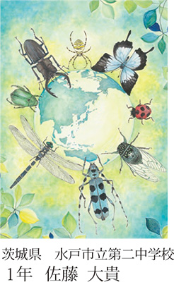 第23回全国小中学校児童・生徒環境絵画コンクール 入賞作品