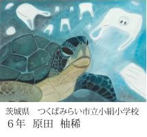 第24回全国小中学校児童・生徒環境絵画コンクール 入賞作品
