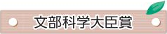 文部科学大臣賞
