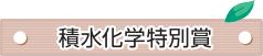 積水化学特別賞