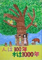 小学校の部 佳作 新潟県 長岡市立富曽亀小学校 5年 小林桃花