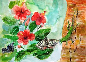 丸紅特別賞 鹿児島県 鹿児島市立和田小学校 6年 内爽帆子