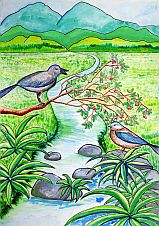 小学校の部 佳作 栃木県 日光市立今市第三小学校 6年 大塚育