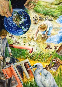 環境大臣賞 千葉県 茂原市立茂原中学校 3年 宮城里奈