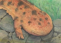 第19回全国小中学校児童・生徒環境絵画コンクール 入賞作品