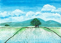 第19回全国小中学校児童・生徒環境絵画コンクール 入賞作品