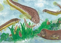 第20回全国小中学校児童・生徒環境絵画コンクール 入賞作品